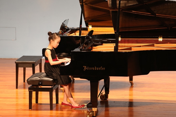2015年度音乐会